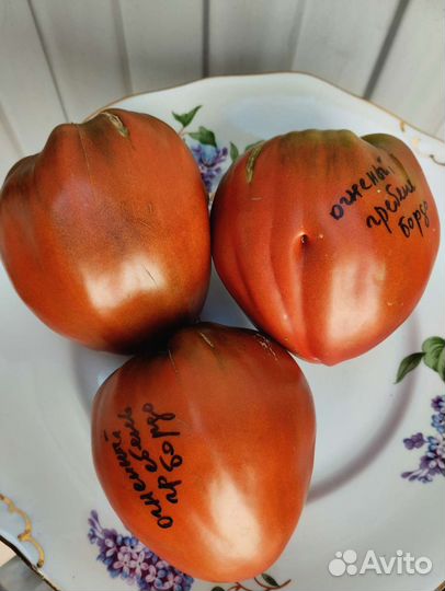 Томат Углерод и др