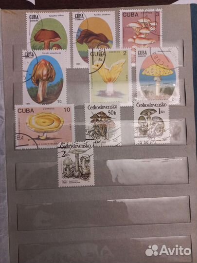 Продам марки СССР