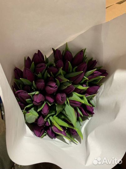 Букет тюльпанов