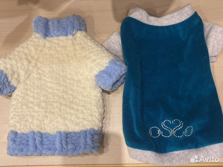 Одежда для маленьких собак