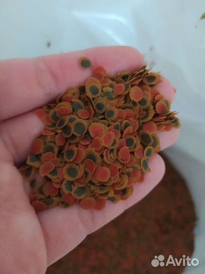 Рыбий корм Tetra Pro