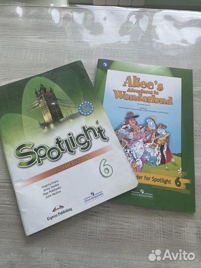 Рабочие тетради для школьников 6 класса