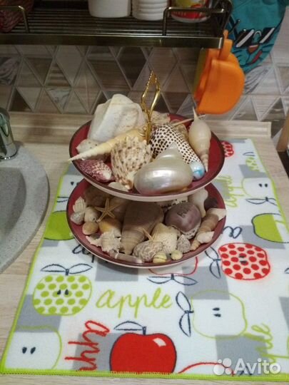 Морские ракушки много