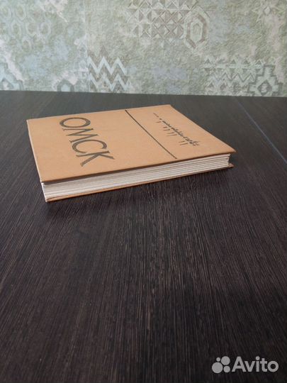 Юрасова М. К. Омск. Очерки истории города