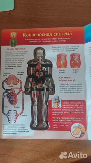 Детская энциклопедия