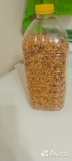 Кормушка для птиц домашних