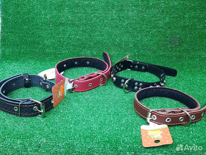 Ошейник для собак