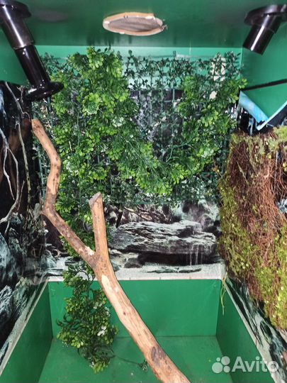 Террариум 95*60*45