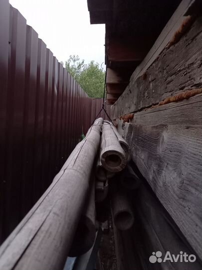 Ствол бамбука