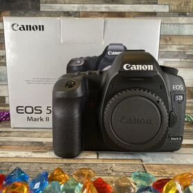 Фотоаппарат Canon EOS 5D Mark II. 1974 кадров