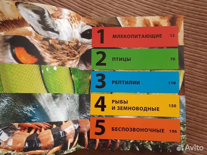 Детская энциклопедия