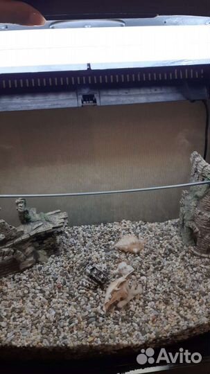 Аквариум 100л