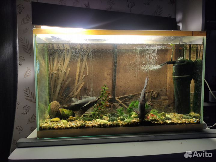 Аквариум