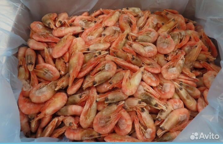 Креветки северные 70/90 и 70+