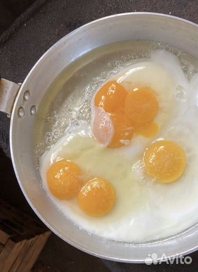 Домашние куриные яйца