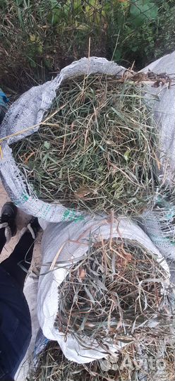 Сено в мешках Барнаул