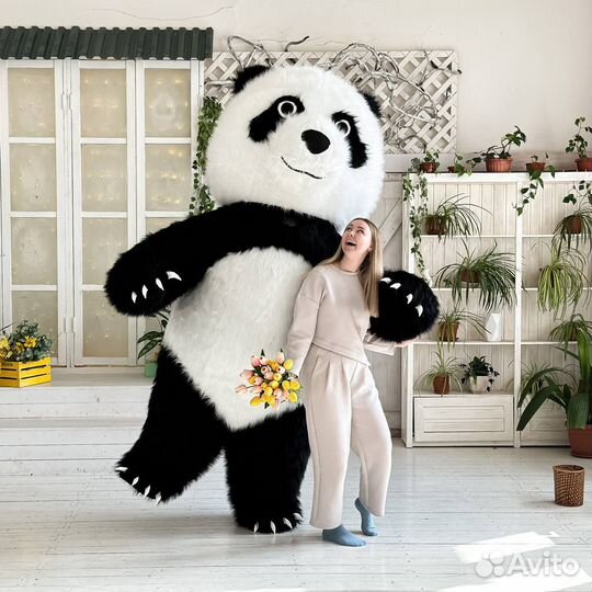 Панда, Тедди. Ростовые куклы - поздравления