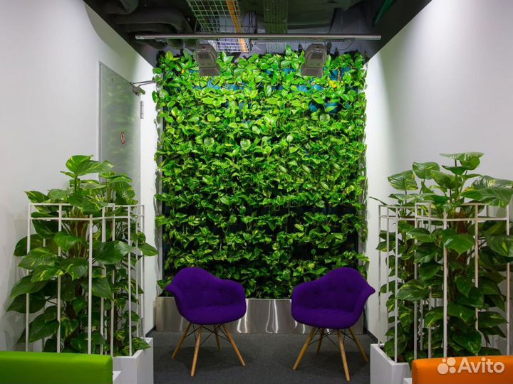 Фитостены / искусственные растения