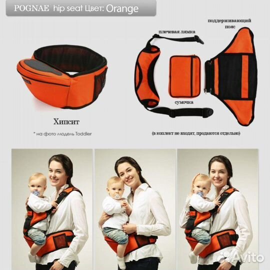 Хипсит Понье (Pognae)