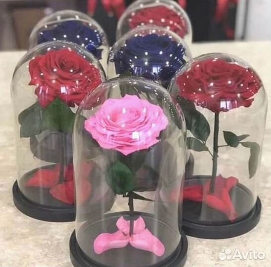 Роза в колбе. Любые размеры