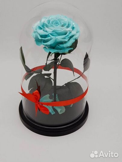 Розы в колбе любые