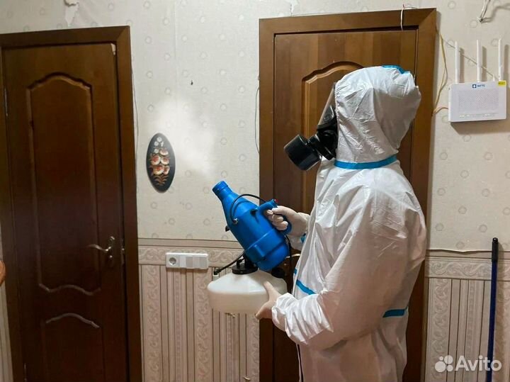 Уничтожение тараканов клопов. Дезинсекция