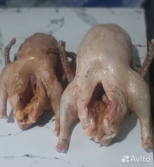 Домашнее мясо гуся