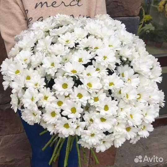 Букет ромашек