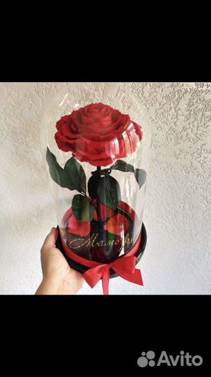 Роза в колбе бонито 27см красный