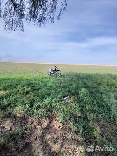Продаю питбайк