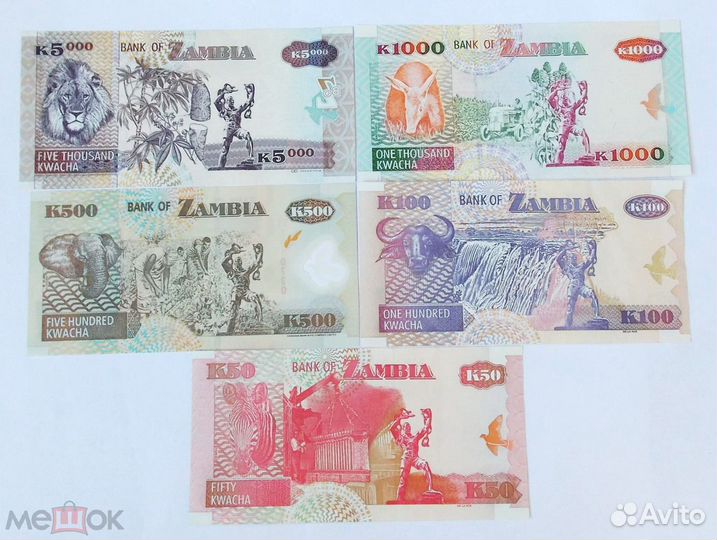 Гвинея Египет Замбия Заир Нигерия Сомали Эритрея