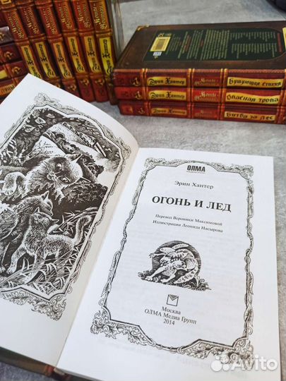 Коты-Воители 