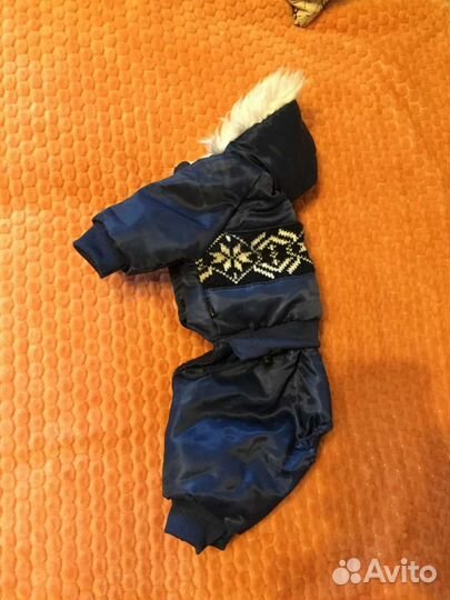 Одежда для маленьких собак