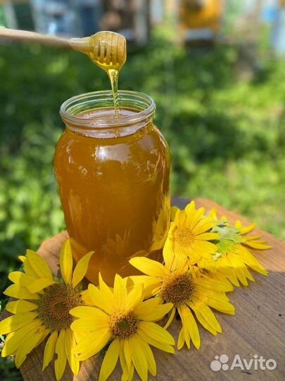 Мед разнотравье 2023 качка-август