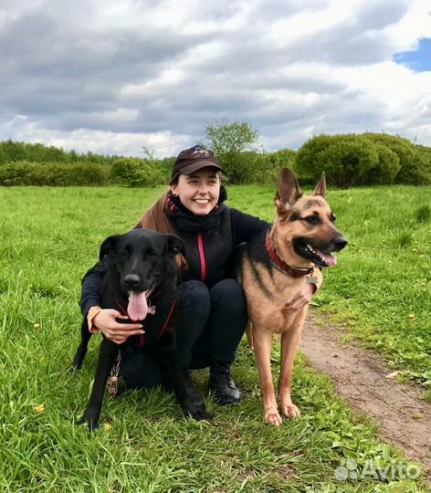 Выгул собак, Зооняня