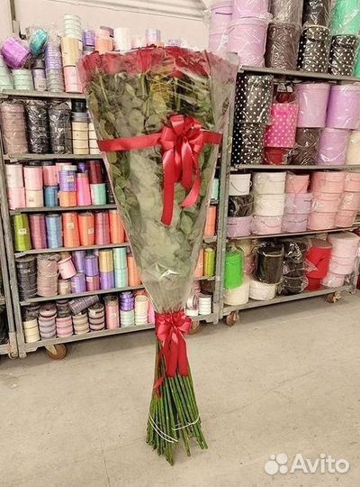 Высокие розы Гигантские Розы 150 160 170 180 190см