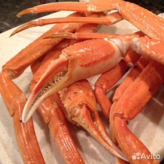 Рыба и морепродукты