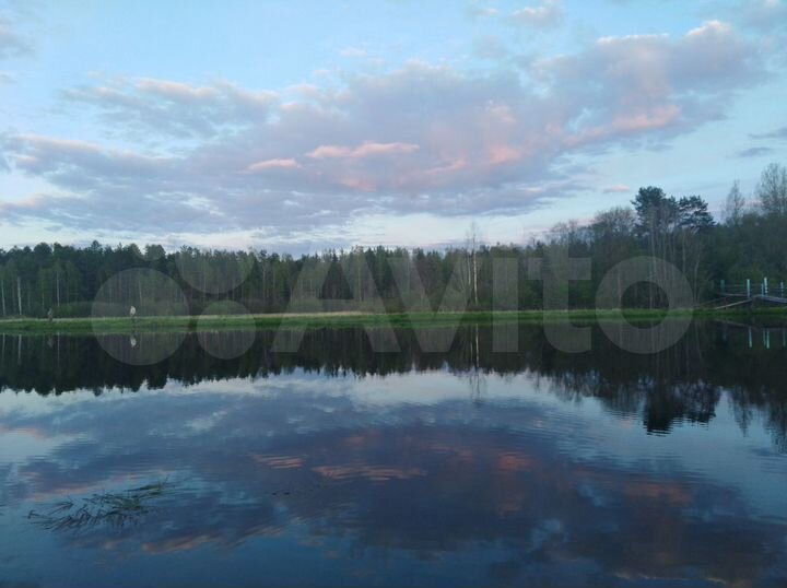 Дом 55,1 м² на участке 20 сот.