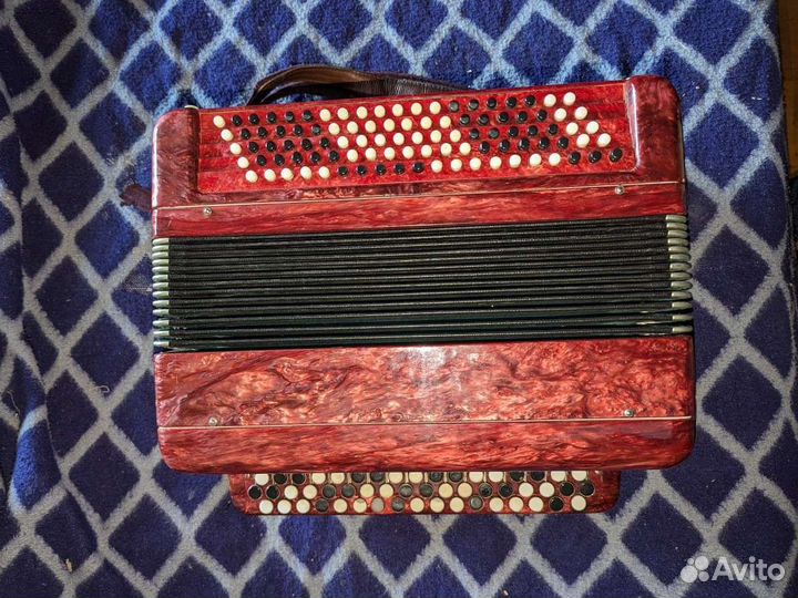 Баян тульский