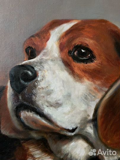 Портрет питомца по фото