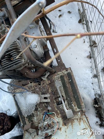 Муравей мотороллер