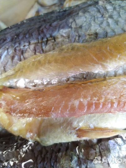 Сорожка Сушёная