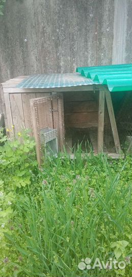 Клетки для кроликов