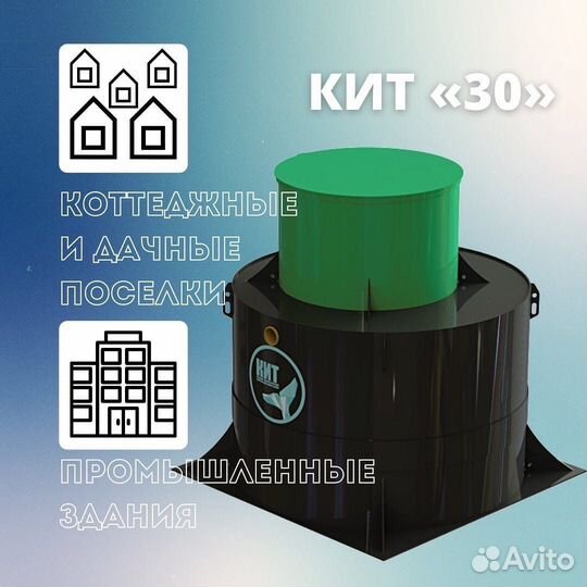Септик кит