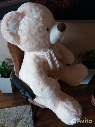 Плюшевый медведь
