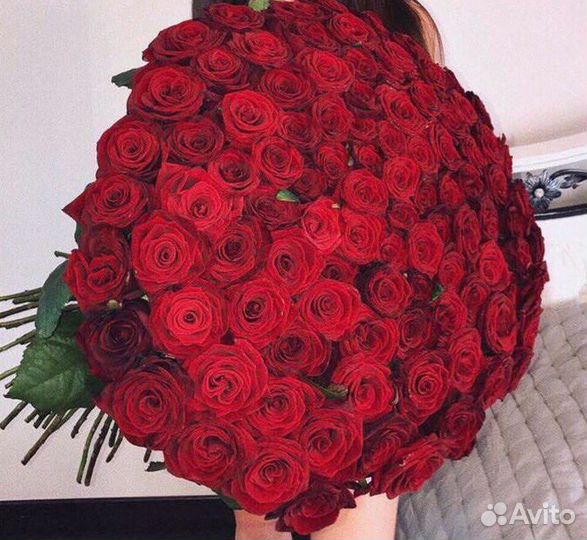 Цветы элитный сорт 151 шт бордовая