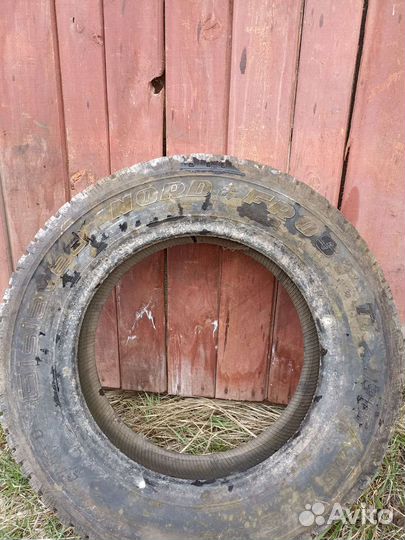 Gislaved Nord Frost II 195/65 R15