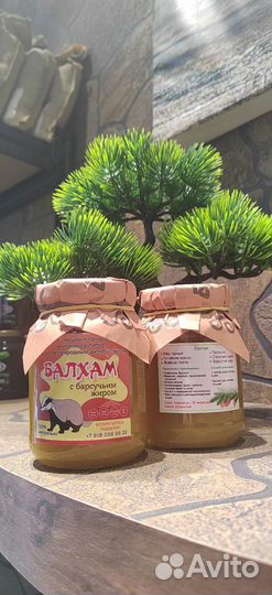 Балхам с барсучьим жиром от кашля и пневмонии