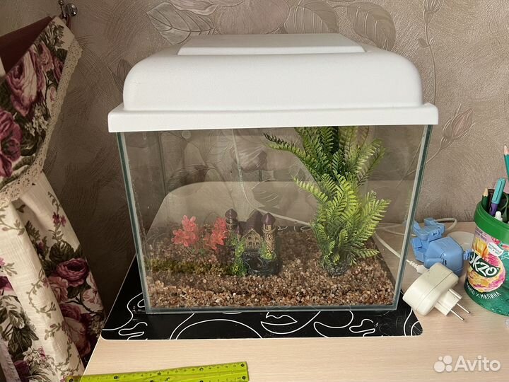 Аквариум на 20 литров