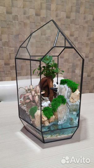 Флорпариум с влаголюбивыми цветами